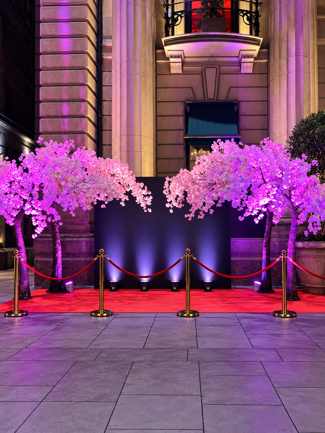 Pink cherry blossom trees illuminated at a luxury red carpet entrance